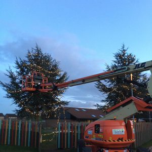 Full Circuit Electrical - Commercial Work for String lighting for a tree
